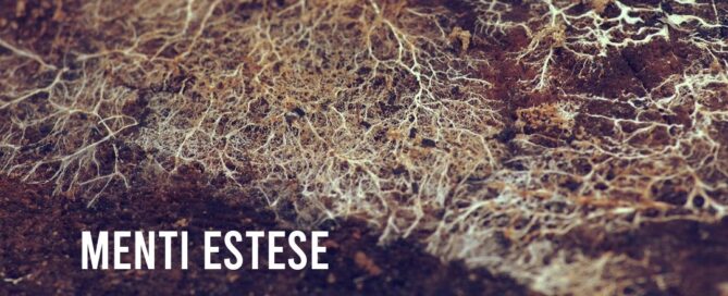 Pieghe Sciolte Menti Estese