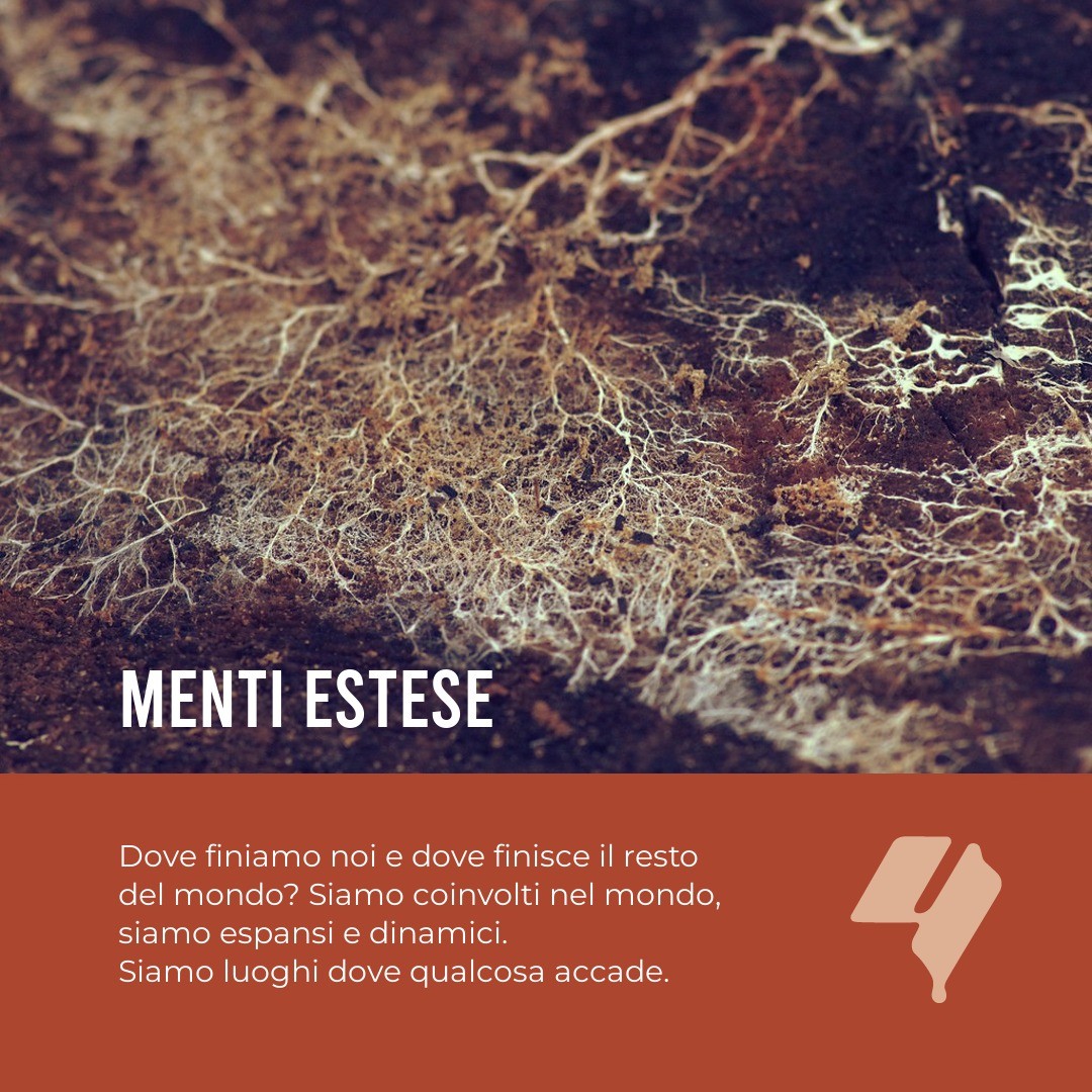 Pieghe Sciolte Menti Estese