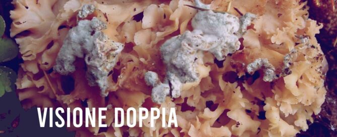 pieghe sciolte visione doppia