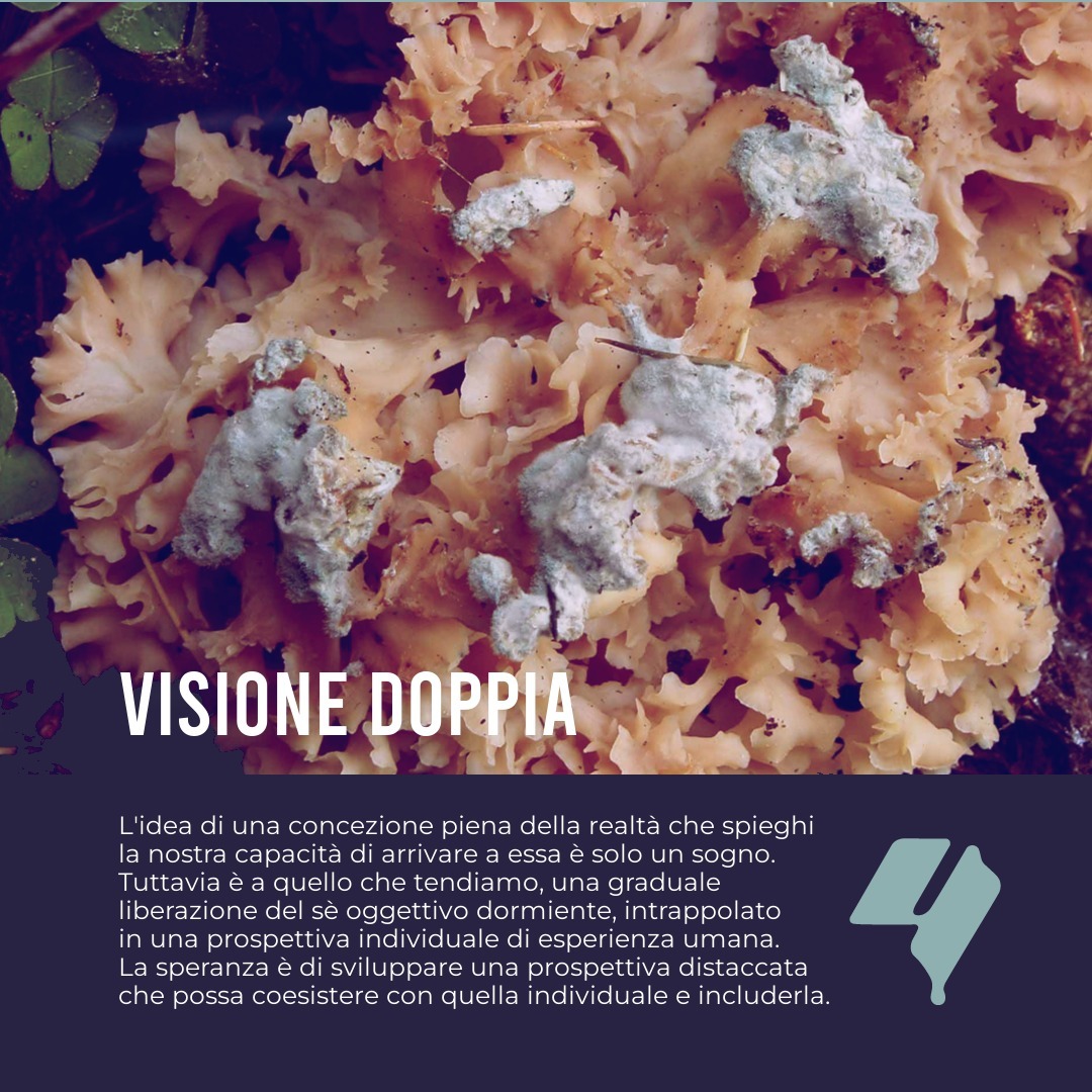 pieghe sciolte visione doppia